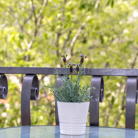 Mamma Mia 2 Lejlighed *