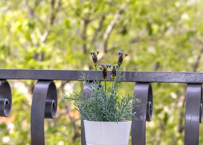 Mamma Mia 2 Апартаменти *